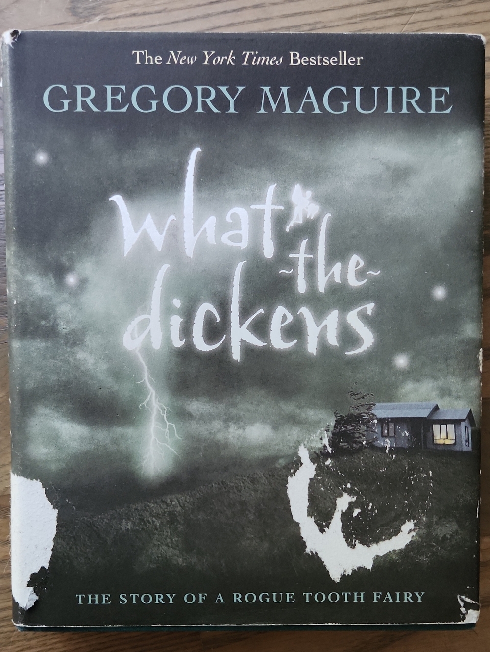What the Dickens By Gregory Macguire